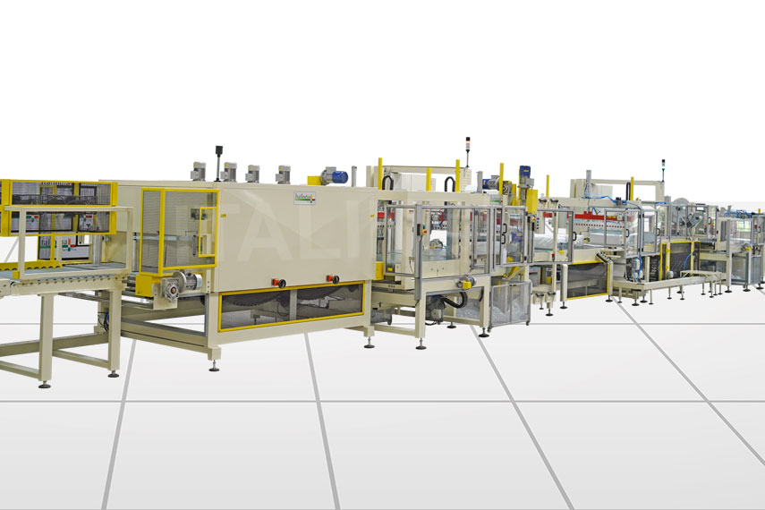 conveyor lines for feeding and delivery
